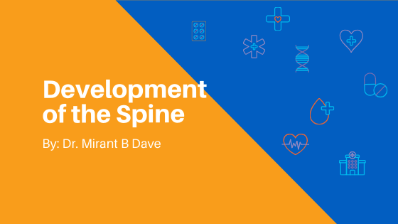 Development of the Spine