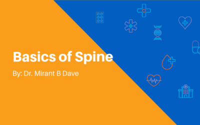 Basics of Spine