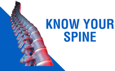 Know Your Spine In Detail